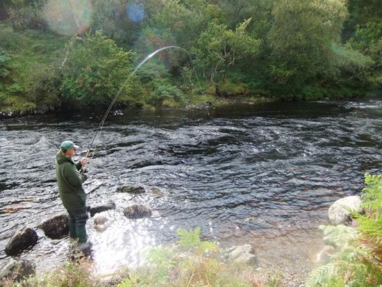salmon-fishing